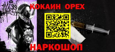 индика Гатчина