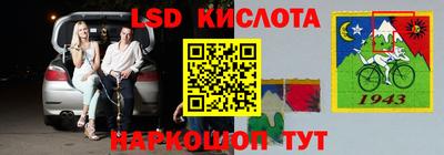 индика Гатчина