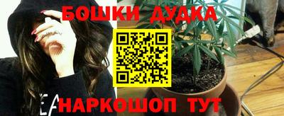 индика Гатчина