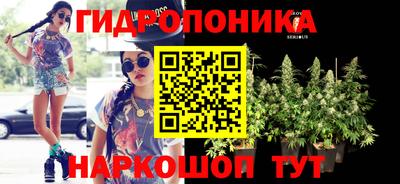 шишки Гагарин