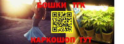 индика Гатчина
