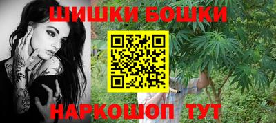 шишки Гагарин