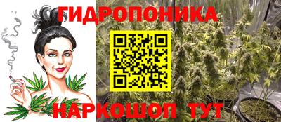 шишки Гагарин