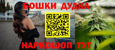 индика Гатчина