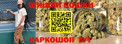 индика Гатчина