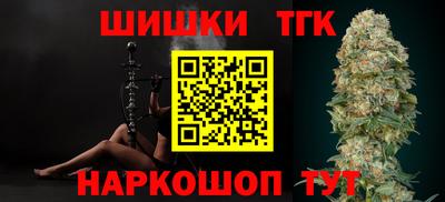 индика Гатчина