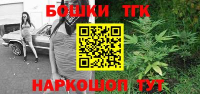 индика Гатчина