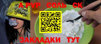 индика Гатчина