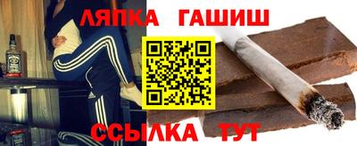 индика Гатчина