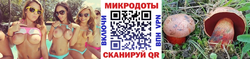 Галлюциногенные грибы Psilocybe  купить наркотик  ОМГ ОМГ сайт  Жуковский 